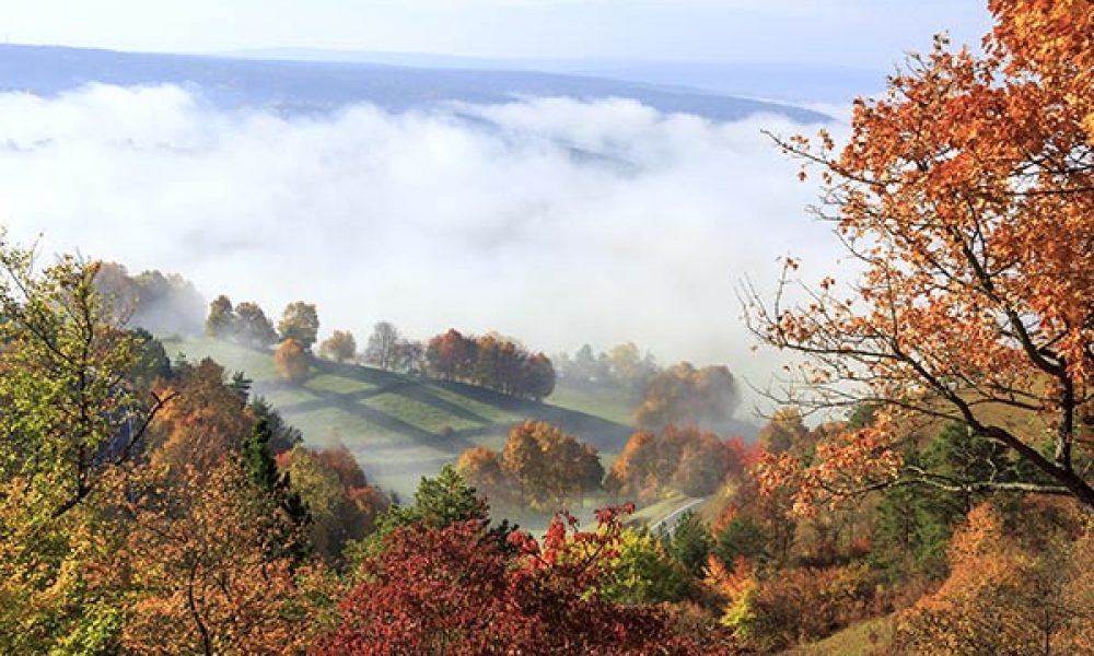 Herbststimmung