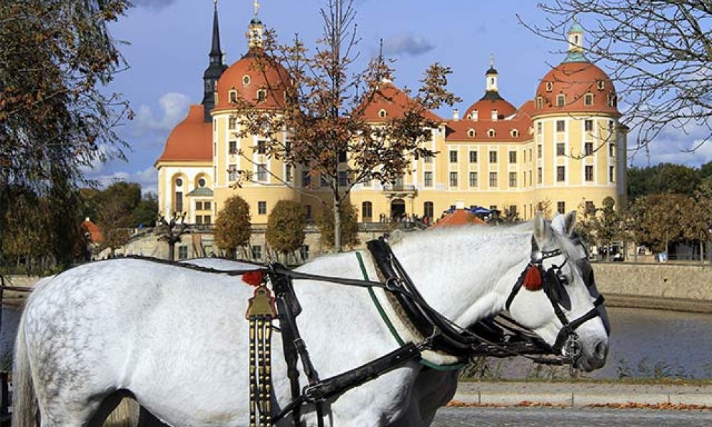 Schloss Moritzburg in Sachsen