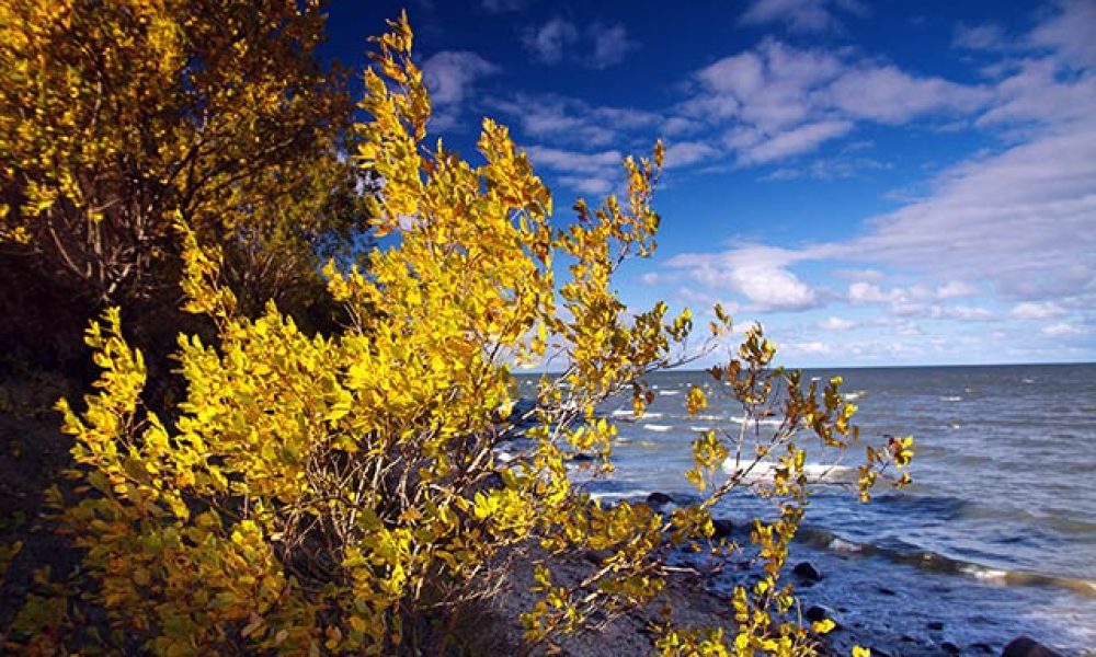 Ostseeurlaub im herbst